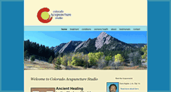 Desktop Screenshot of discoveracupuncture.org